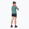 Women's DYNAFIT Alpine Wind cabana atlantic Laufjacke 4
