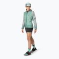 DYNAFIT Women's Running Shorts Sky Short Tights schwarz out 2