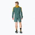 Herren DYNAFIT Alpine Wind tobacco Laufjacke 4