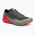Herren Laufschuhe DYNAFIT Ultra yerba/thyme