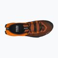 Herren Salewa Wildfire Nxt Approach-Schuh bombay braun / tumeric 6