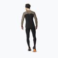 Herren-Langarm-Laufshirt DYNAFIT Alpine Pro Fallen Rock/0936 3