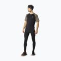 Herren-Laufshirt DYNAFIT Alpine Pro fallen rock/0936 2
