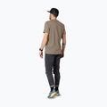 Herren T-Shirt DYNAFIT Graphic CO fallen rock/horizon 3