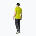 Herren-T-Shirt DYNAFIT Graphic CO golden lime/tabloid 3