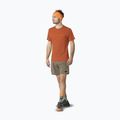 Herren-Trekking-T-Shirt DYNAFIT Traverse 2 alabama 2