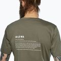 Herren T-Shirt Salewa Eagle Vocab faded green 4
