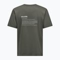 Herren T-Shirt Salewa Eagle Vocab faded green 6