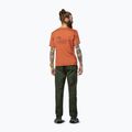 Herren-Shirt Salewa Eagle Vocab bombay brown 3