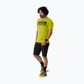 Herren Trekking T-Shirt DYNAFIT Transalper Graphic golden lime/5a30 2