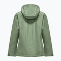 Damen-Regenjacke Salewa Puez Aqua 4 Ptx 2.5L pastel green 2