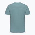 Salewa Puez Sporty Dry willow Herren Trekking T-Shirt 2
