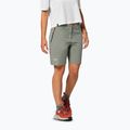Damen-Trekking-Shorts Salewa Puez Talvena DST faded green