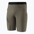 Trekking-Shorts für Herren DYNAFIT Traverse Hybrid fallen rock/0910 3
