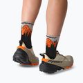 Skisocken DYNAFIT Traverse Mid black out ultra orange/4220 7
