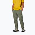 Herren-Trekkinghose Salewa Pedroc 3 DST Light faded green