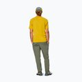 Herren-Trekkinghose Salewa Pedroc 3 DST Light faded green 3