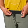 Herren-Trekkinghose Salewa Pedroc 3 DST Light faded green 4
