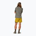 Herren-Trekking-Shorts Salewa Pedroc DST 2IN1 olive oil int/0870 3