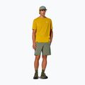 Herren-Trekking-Shorts Salewa Pedroc DST Light faded green 2