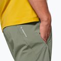 Herren-Trekking-Shorts Salewa Pedroc DST Light faded green 4