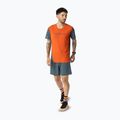 Herren-Laufshorts DYNAFIT Alpine cinder 2