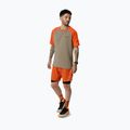 Laufshorts Herren DYNAFIT Alpine Pro 2IN1 alabama 2