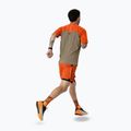 Laufshorts Herren DYNAFIT Alpine Pro 2IN1 alabama 3