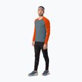 Lauf-Langarmshirt für Herren Dynafit Alpine Pro LS Tee alabama/0720 2