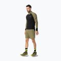 Herren-Laufshorts DYNAFIT Alpine Pro 2IN1 military green 2
