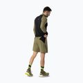 Herren-Laufshorts DYNAFIT Alpine Pro 2IN1 military green 3