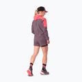 Damen-Laufjacke DYNAFIT Alpine Wind cabana ephemera/6a90 2