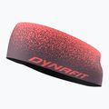 Stirnband DYNAFIT Graphic Performance cabana/6A90 gradient