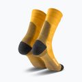 Herren­socken Salewa Ortles AM Crew gold 2