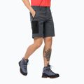 Jack Wolfskin Herren Active Track Trekkingshorts grau 1503791_6116