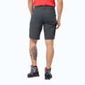 Jack Wolfskin Herren Active Track Trekkingshorts grau 1503791_6116 2