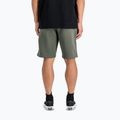 Herren Alpha Industries Basic Small Logo II dunkel oliv Shorts 3