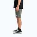 Herren Alpha Industries Basic Small Logo II dunkel oliv Shorts 5