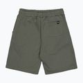 Herren Alpha Industries Basic Small Logo II dunkel oliv Shorts 9