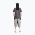 Alpha Industries Herren-T-Shirt Hawaii Vintage grau 3