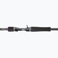 Daiwa Prorex XR BaitCast Spinnrute schwarz 11339-210 3