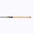 Daiwa Aqualite Schwimmerrute schwarz 11401-360 3