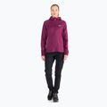 Jack Wolfskin Damen Hydro Grid Fleece Sweatshirt rosa 1709911 2