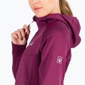 Jack Wolfskin Damen Hydro Grid Fleece Sweatshirt rosa 1709911 5