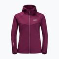 Jack Wolfskin Damen Hydro Grid Fleece Sweatshirt rosa 1709911 7