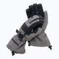 Skihandschuhe Reusch Isidro GTX grau 49/1/319