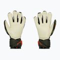 Torwarthandschuhe Reusch Attrakt Speedbump Ortho-Tec grün 53778-5556 2