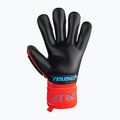 Reusch Attrakt Freegel Gold Finger Support Torwarthandschuhe Rot 5370130-3333 5