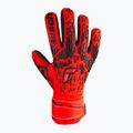 Reusch Attrakt Freegel Silver Finger Support Torwarthandschuhe 5370230-3333 4