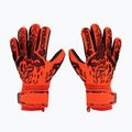 Reusch Attrakt Freegel Silver Finger Support Torwarthandschuhe 5370230-3333